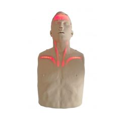 Brayden CPR Adult Manikin 