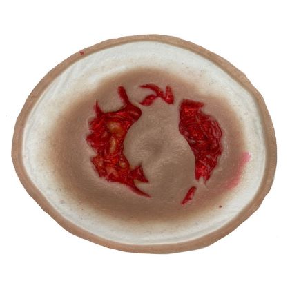 SiMoulage™ SFX Silicone Animal Bite Wound